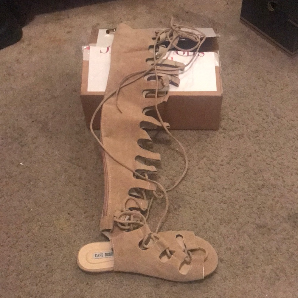 Not Your Average Gladiator - image 1